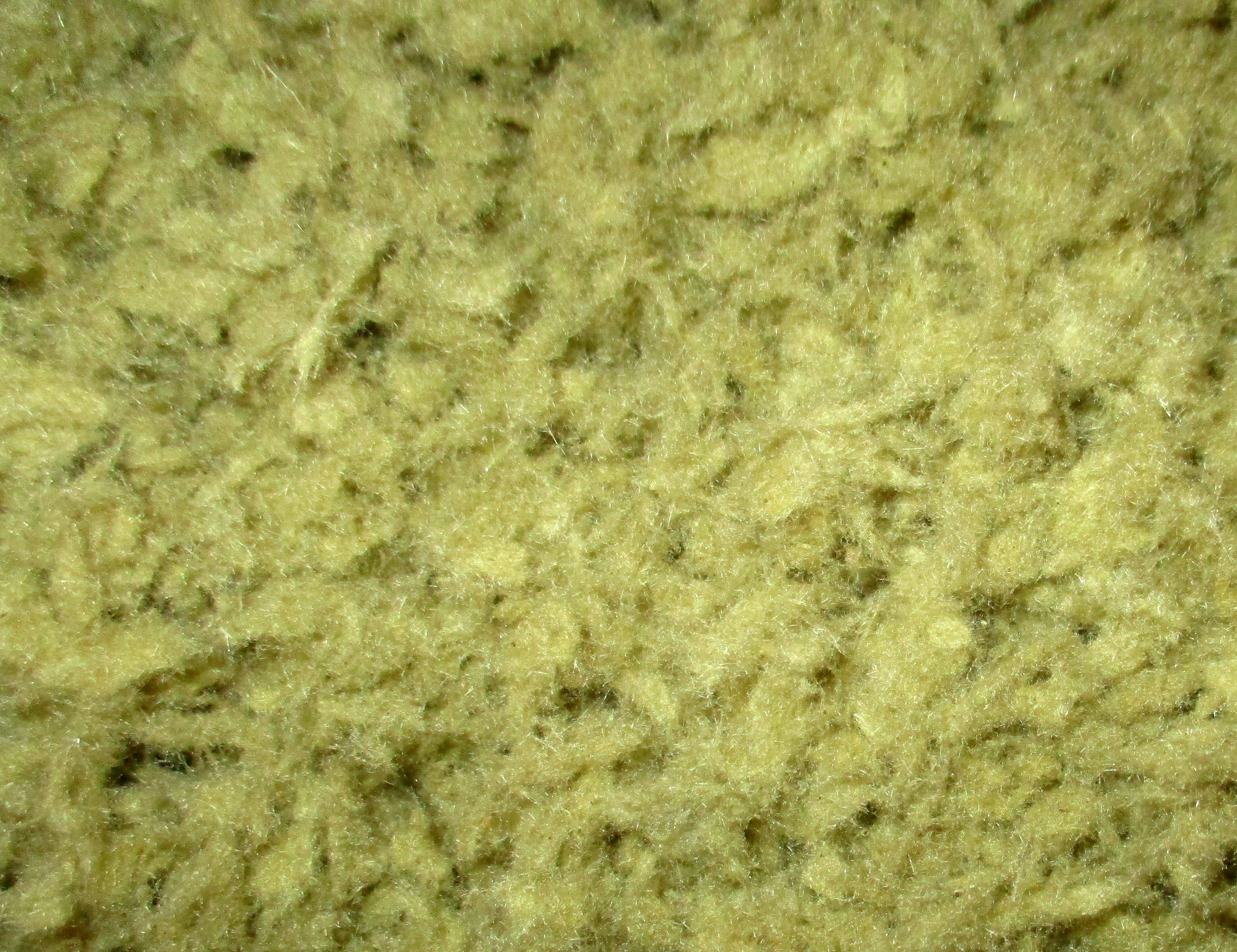 isofloc-Zellulose-D&auml;mmschicht. Bild 4